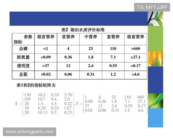 南京足球队在杯赛中的技术表现分析与点评探讨